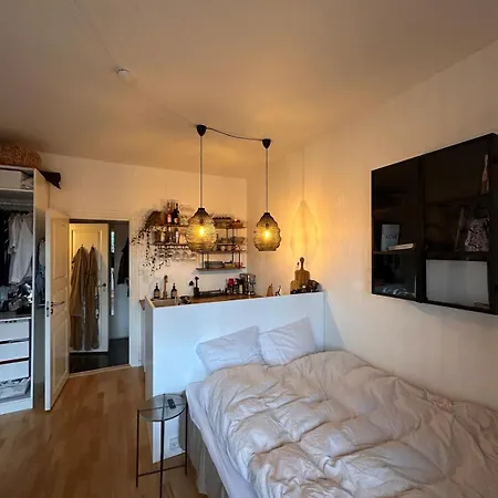 1 Bedroom Apartment, Trojborg Апартаменты Орхус