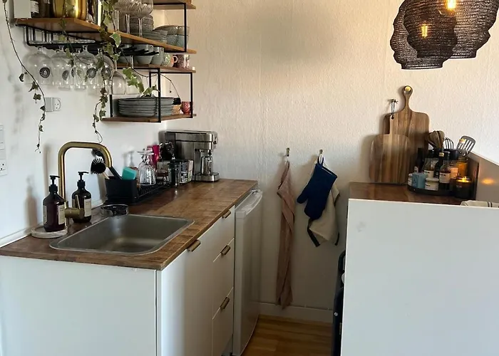 Apartmán 1 Bedroom Apartment, Trojborg Århus