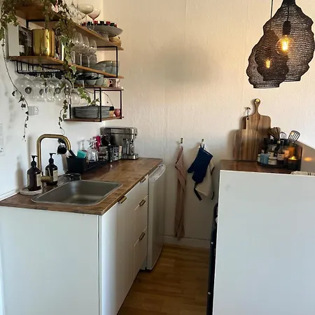 Apartman 1 Bedroom Apartment, Trojborg Århus